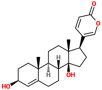 (image for) MC011731 Scillarenin